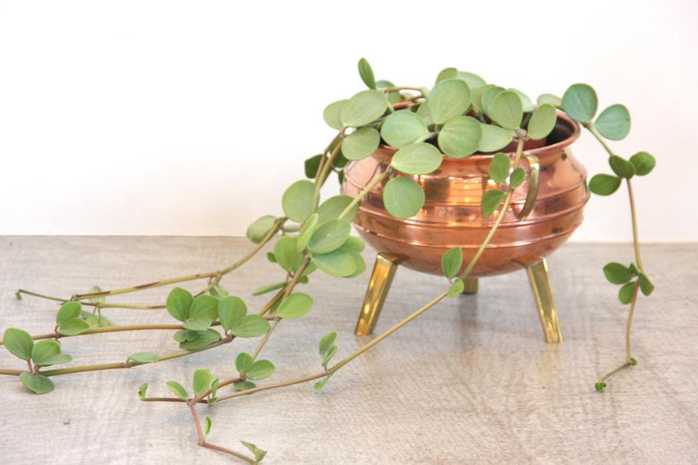 植木鉢　フラワーポッド　銅製　金メッキ張